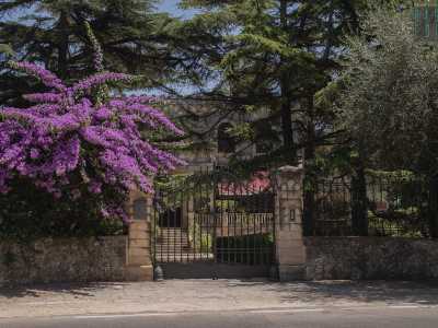 E poco pi� avanti Villa Del Vecchio, del 1910, nascosta da un cancello e dalla vegetazione circostante. Progettata dall�architetto molese Nicola Jacovelli, fonde elementi occidentali ed egiziani